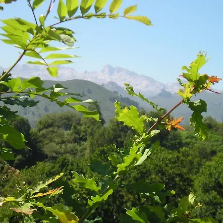 Alborada Gospodarstwo wiejskie *